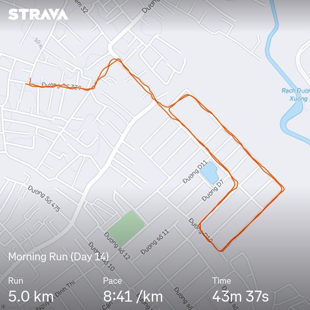 Let's Run! Day 14 🏃‍♂️