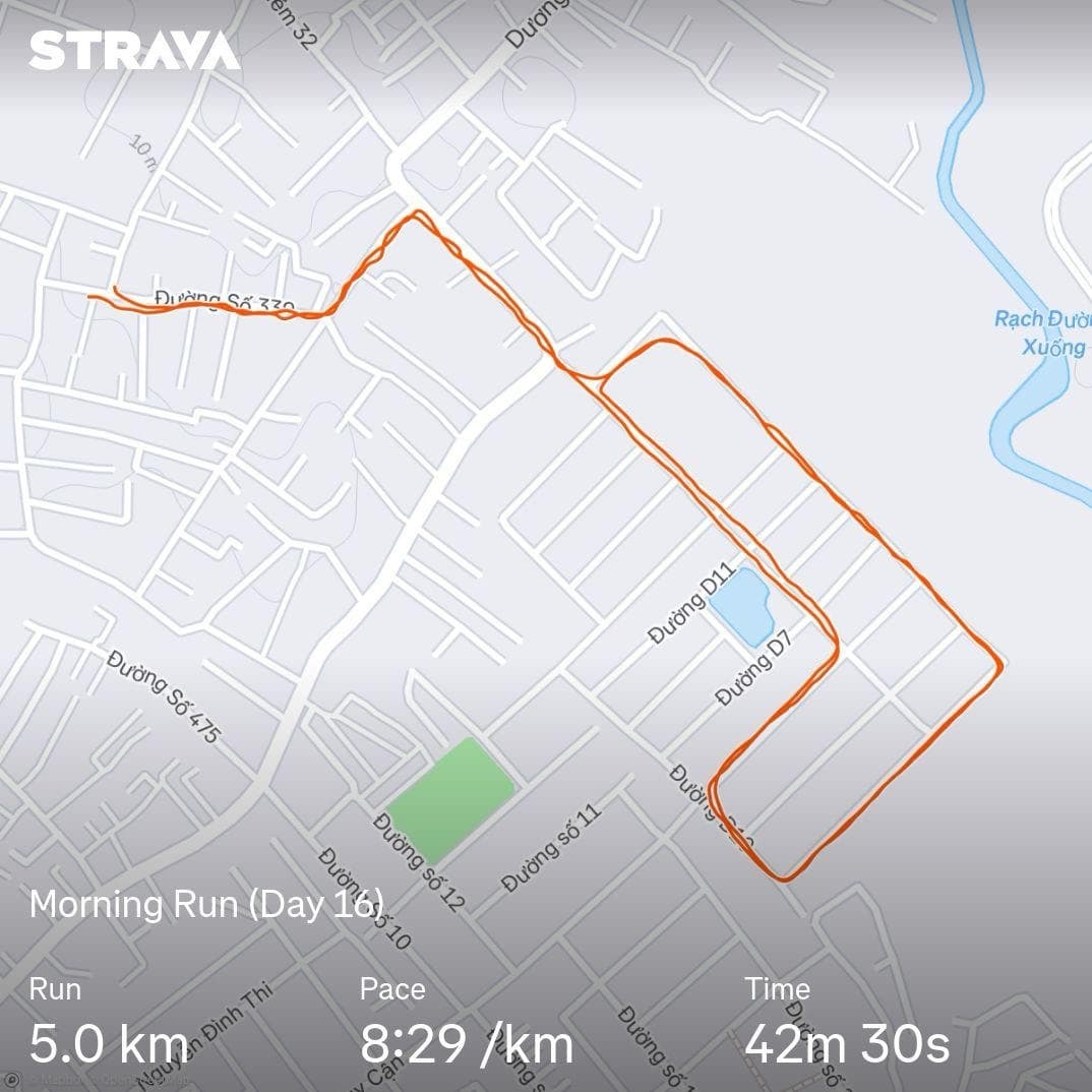 Let's Run! Day 16 🏃‍♂️
