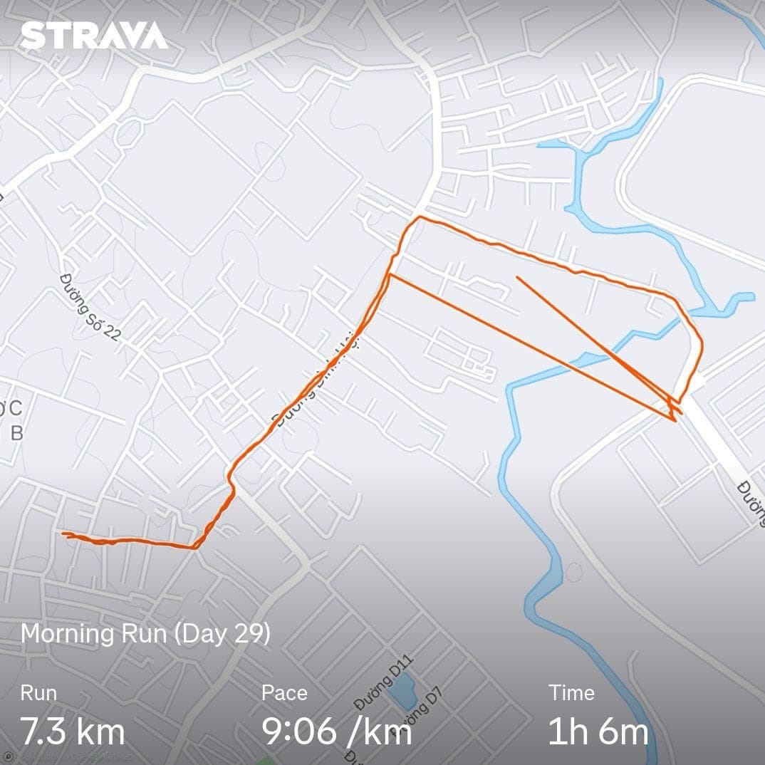 Let's Run! Day 29🏃‍♂️
