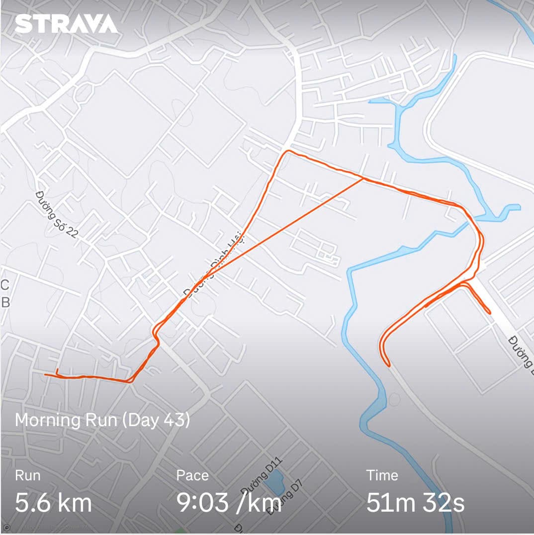 Let's Run! Day 43 🏃‍♂️