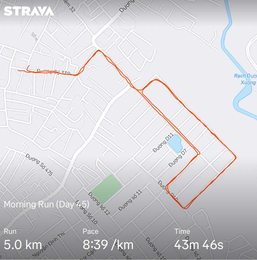 Let's Run! Day 45 🏃‍♂️