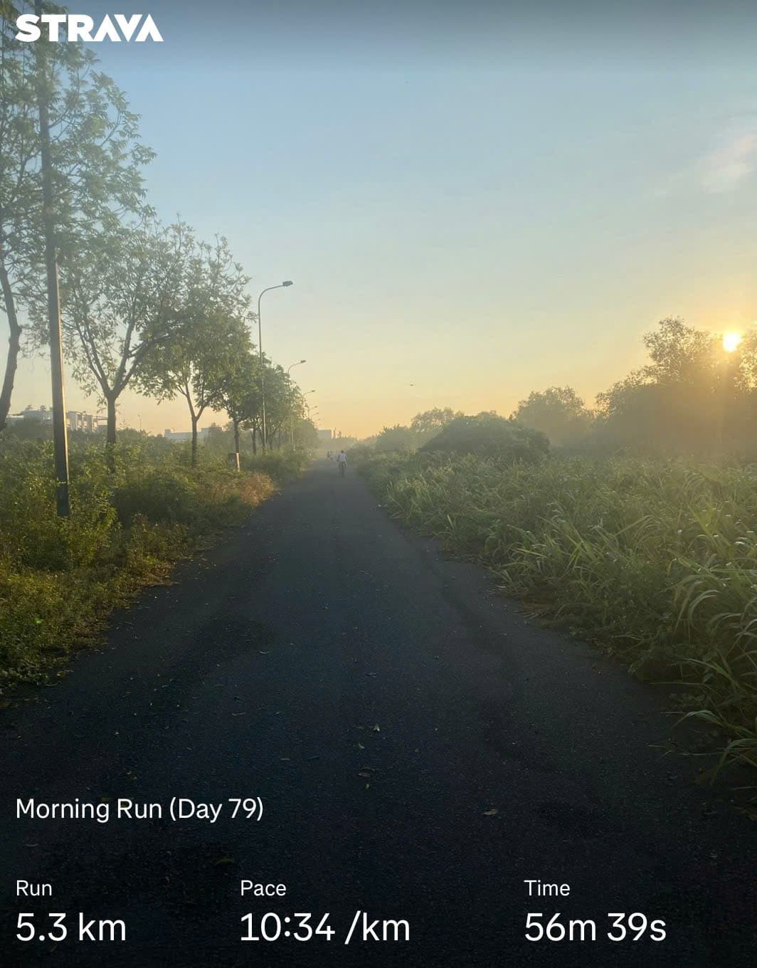 Let's Run! Day 79 🏃‍♂️